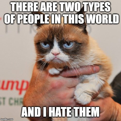 Grumpy Cat meme: "There are two types of people in this world... and I hate them"