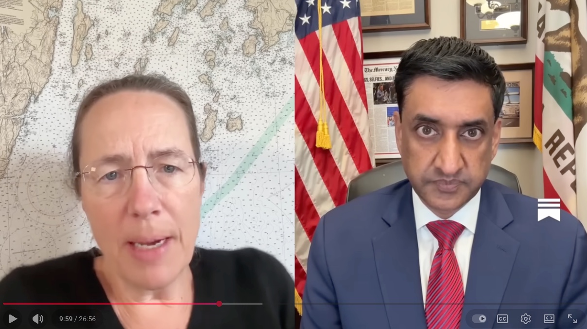 progressive capitalism as articulated by Ro Khanna as interviewed by Heather Cox Richardson